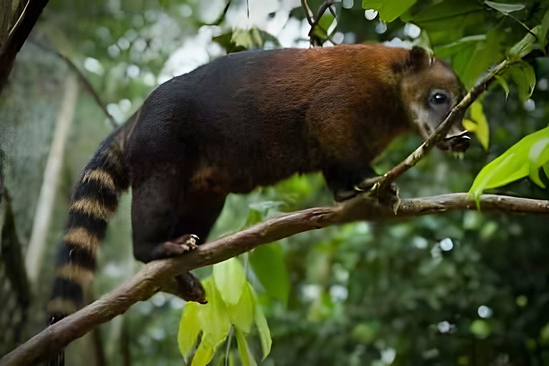 Casa dos Alpes com Jacuzzi hidro e Lareira