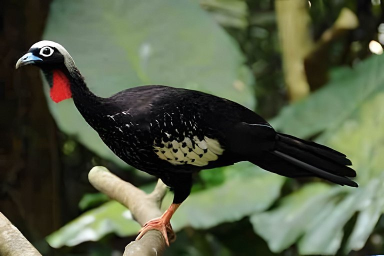 Casa dos Alpes com Jacuzzi hidro e Lareira