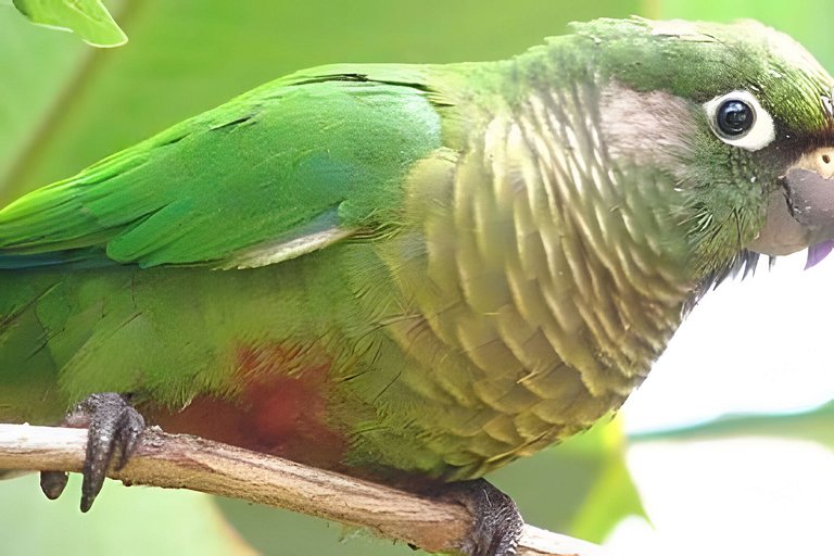Casa dos Alpes com Jacuzzi hidro e Lareira
