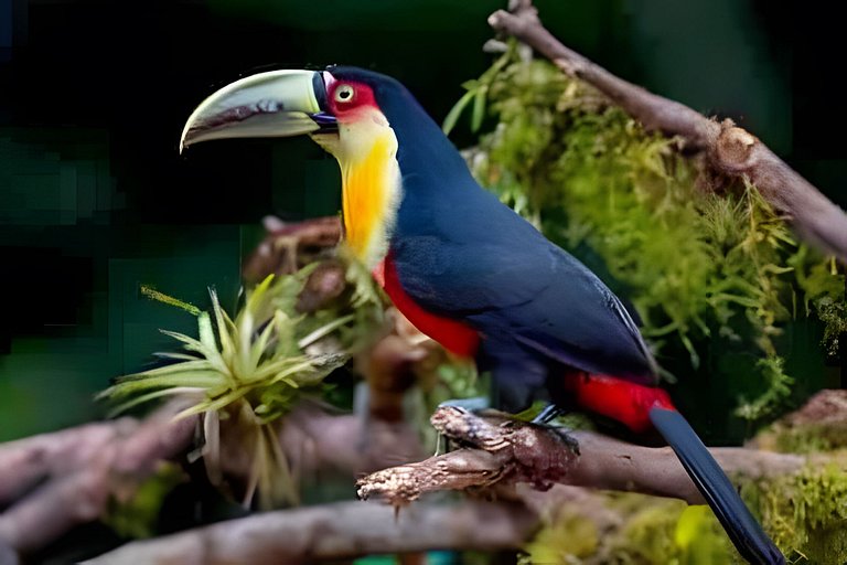 Casa dos Alpes com Jacuzzi hidro e Lareira