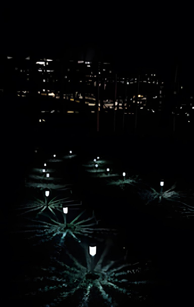 Cabana Vista Ilha/Santo Amaro da Imperatriz