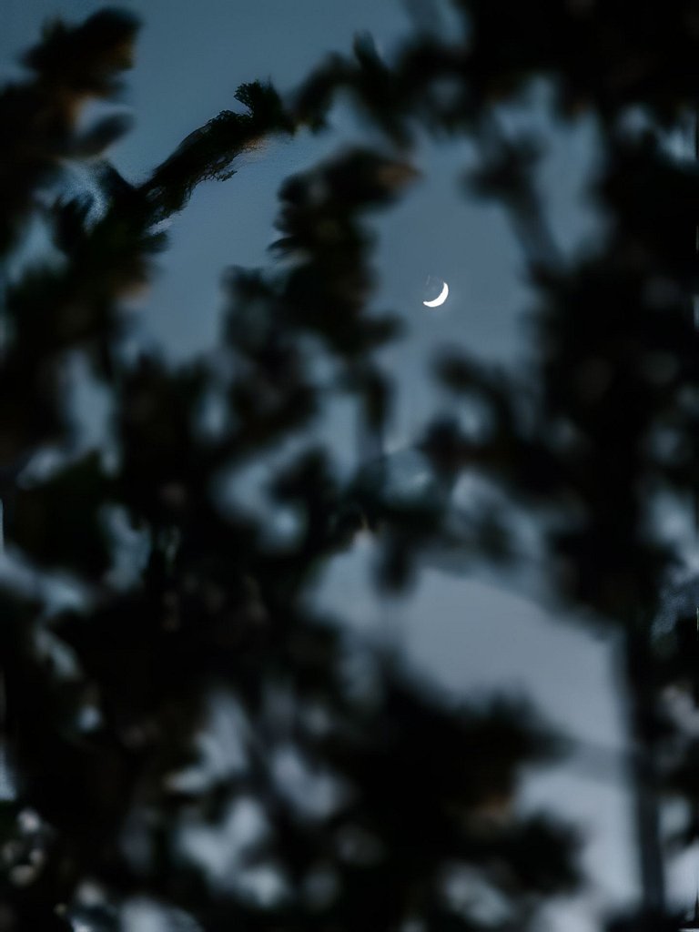 Cabana Vista Ilha/Santo Amaro da Imperatriz