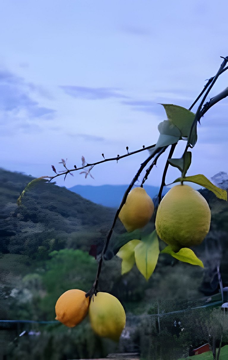 Cabana Jardim dos Pássaros com Hidro e Lareira